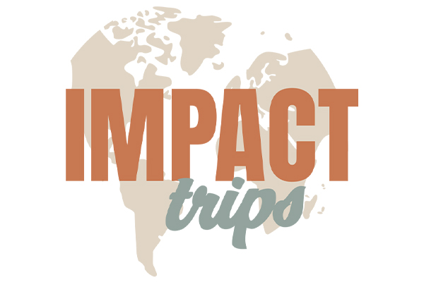 ImpactWeb Graphic