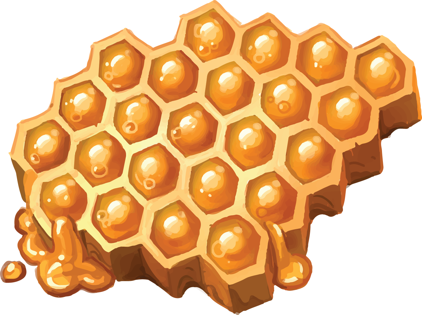 Honey@3x